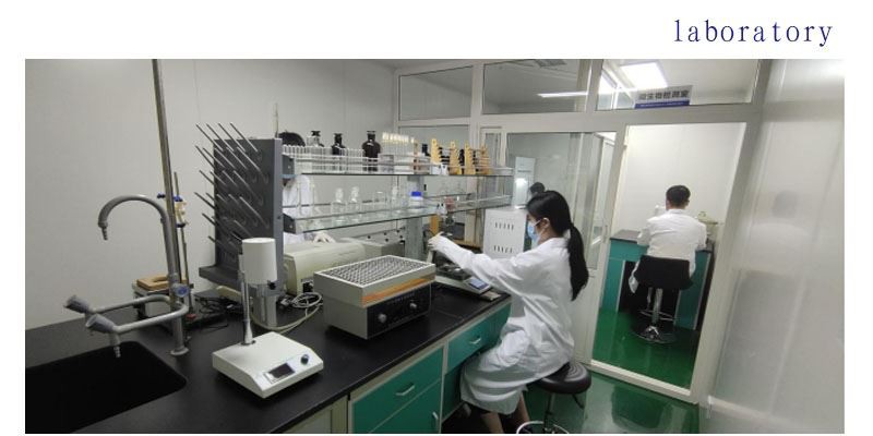 Coptidis Rhizoma Extract Powder lab
