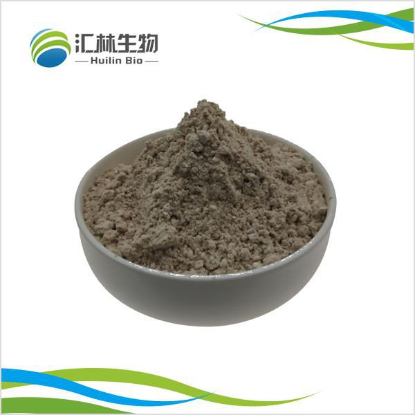 Polvere di aldeide protocatecuica